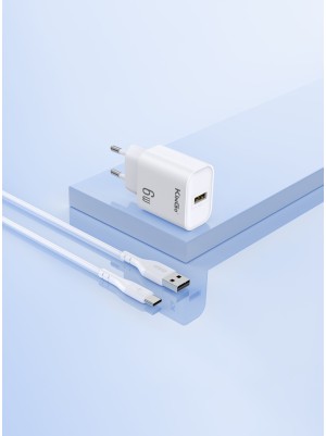 CARREGADOR 6W TYPE C (U102) KIT
